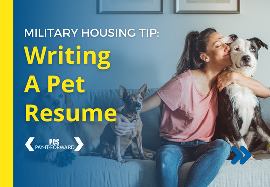 Read more about the article Renting With Pets
