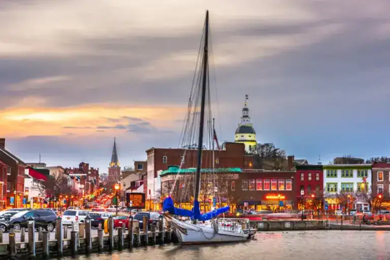 Sailboats docked at a lively harbor during sunset.